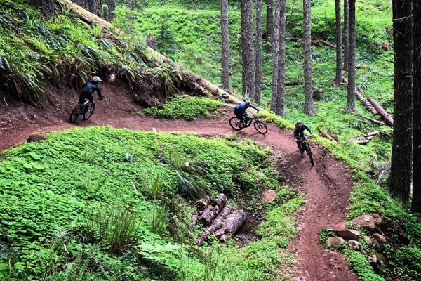 mountain-biking mountain-biking