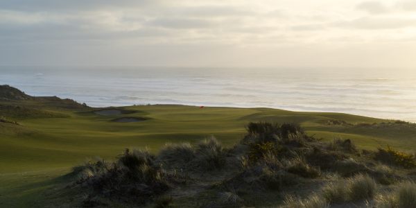 Celebrating Excellence: Announcing the 2025 OGA Award Winners