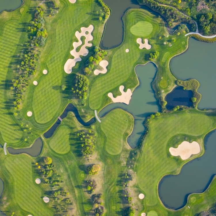 Aerial view of golf course